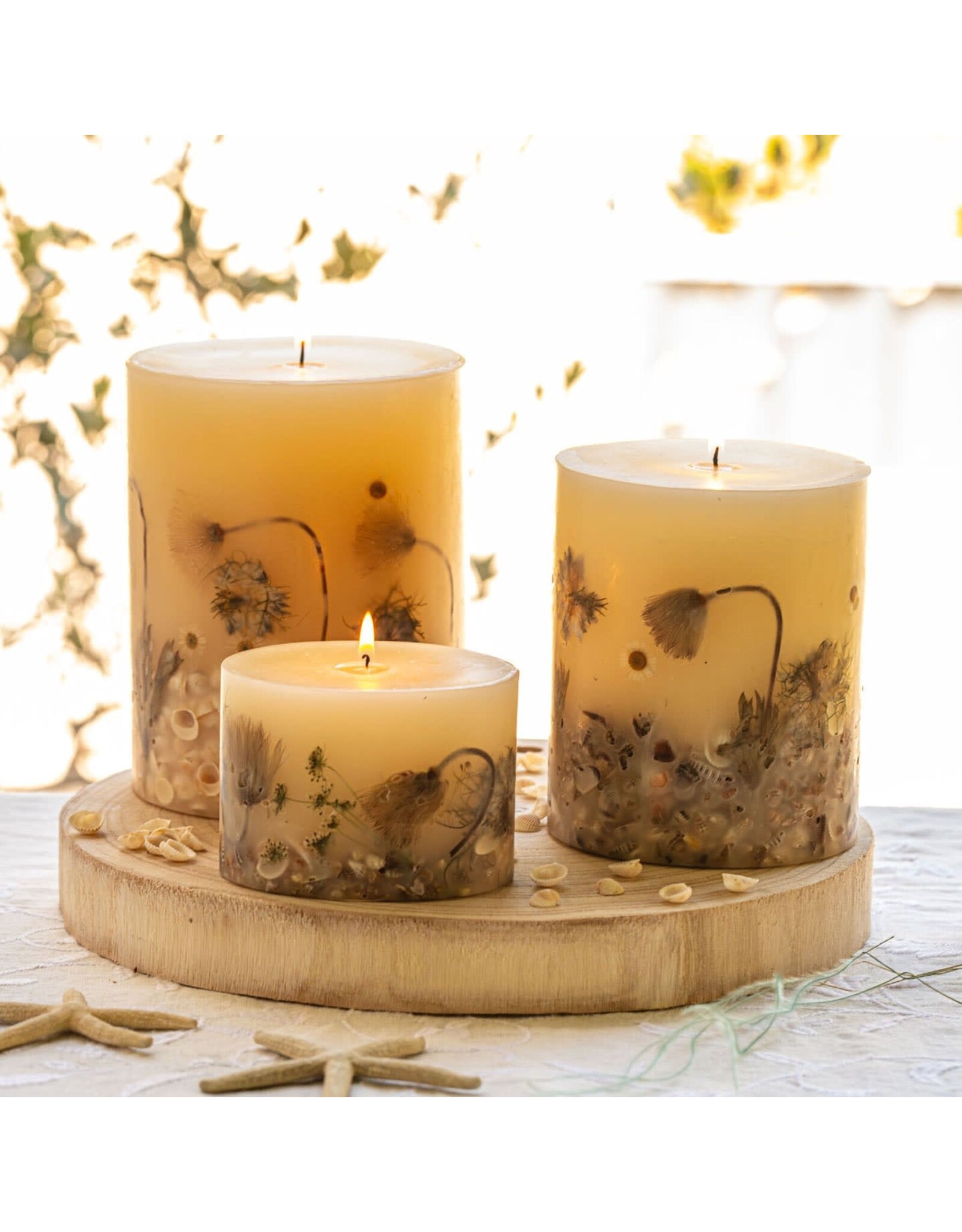 Rosy Rings Coastal Vanilla Botanical Candle 6.5Hx5D Round Pillar