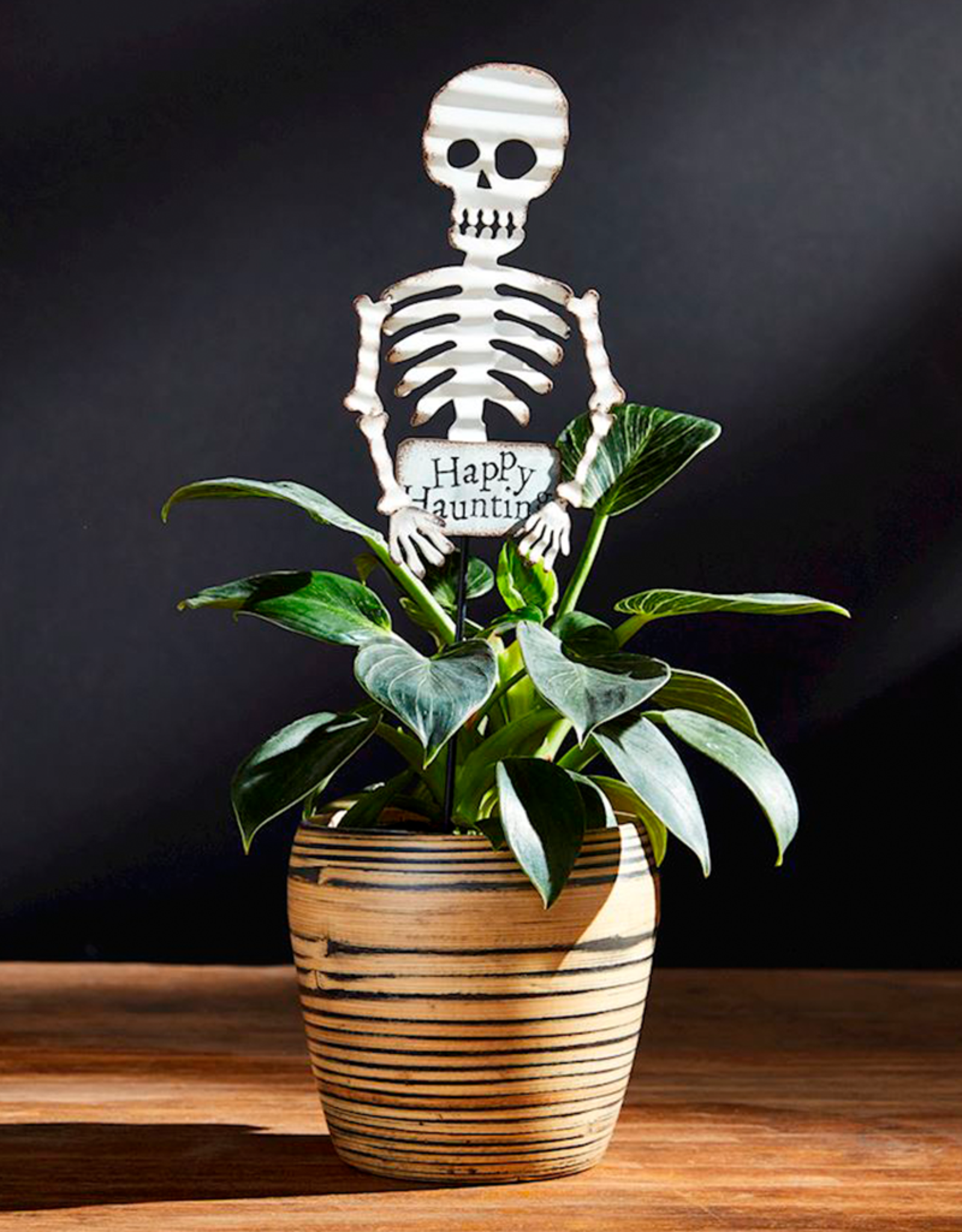 Mud Pie Halloween Plant Stakes | Skeleton Plant Pick 14 Inch