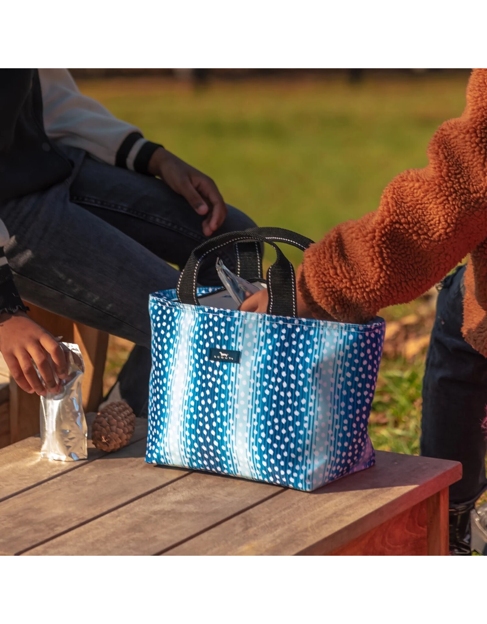Scout Bags Nooner Lunch Box Cooler Tote You-ve Spot Mail