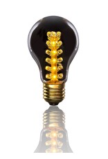 Cleveland Vintage Lighting Edison Style Light Bulb LED 1.7W E26 Base