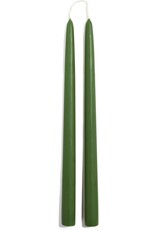 Frasier Fir Taper Candles Set of 2 Green 12 Inch Tapers
