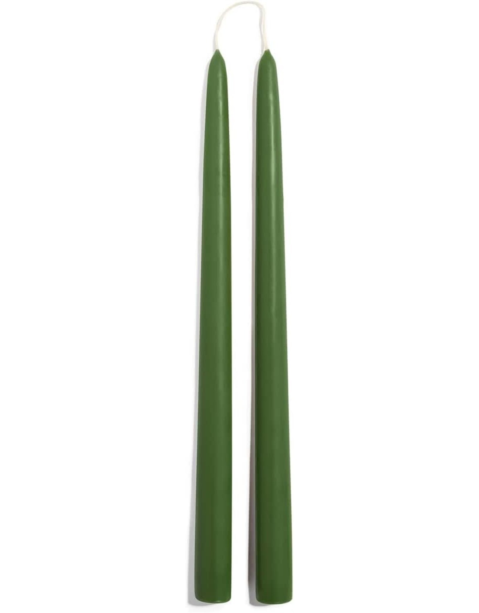 Frasier Fir Taper Candles Set of 2 Green 12 Inch Tapers