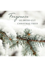 Frasier Fir Taper Candles Set of 2 Green 12 Inch Tapers