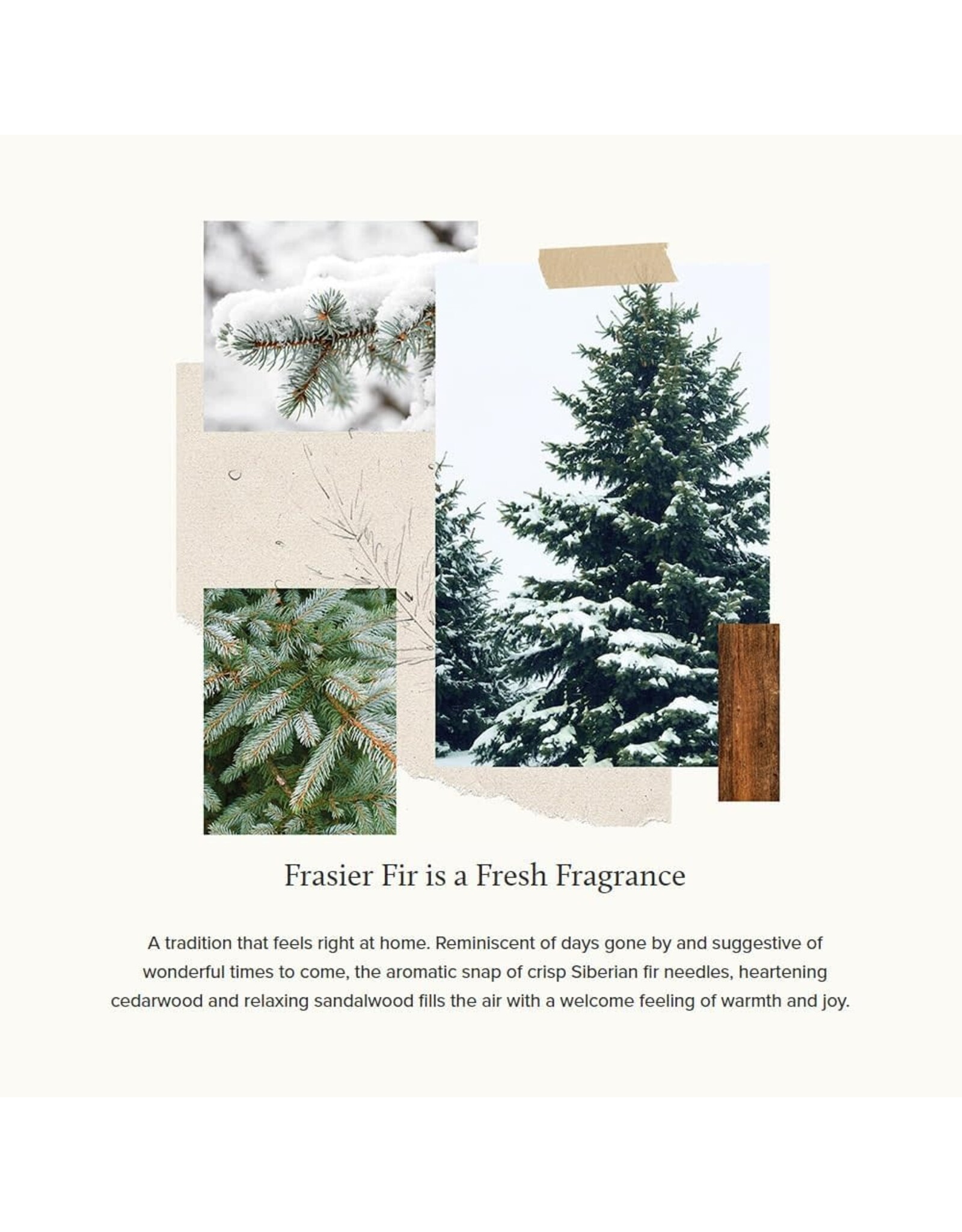 Frasier Fir Taper Candles Set of 2 Green 12 Inch Tapers