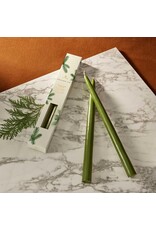 Frasier Fir Taper Candles Set of 2 Green 12 Inch Tapers