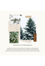 Frasier Fir Flocked Statement Candle 22oz