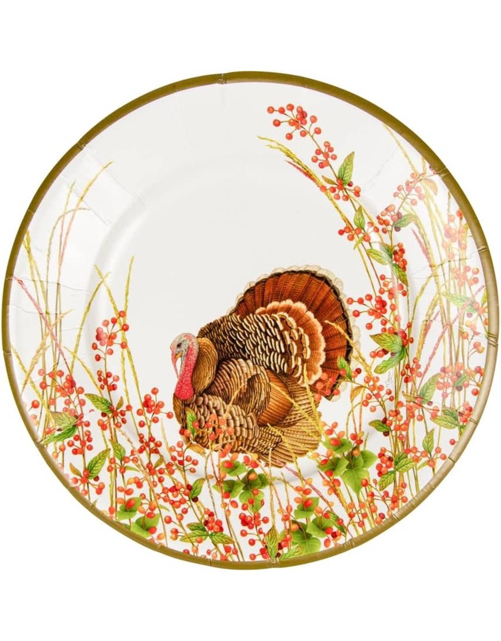 Caspari Turkeys n Berries Thanksgiving Paper Salad Dessert Plates 8pk