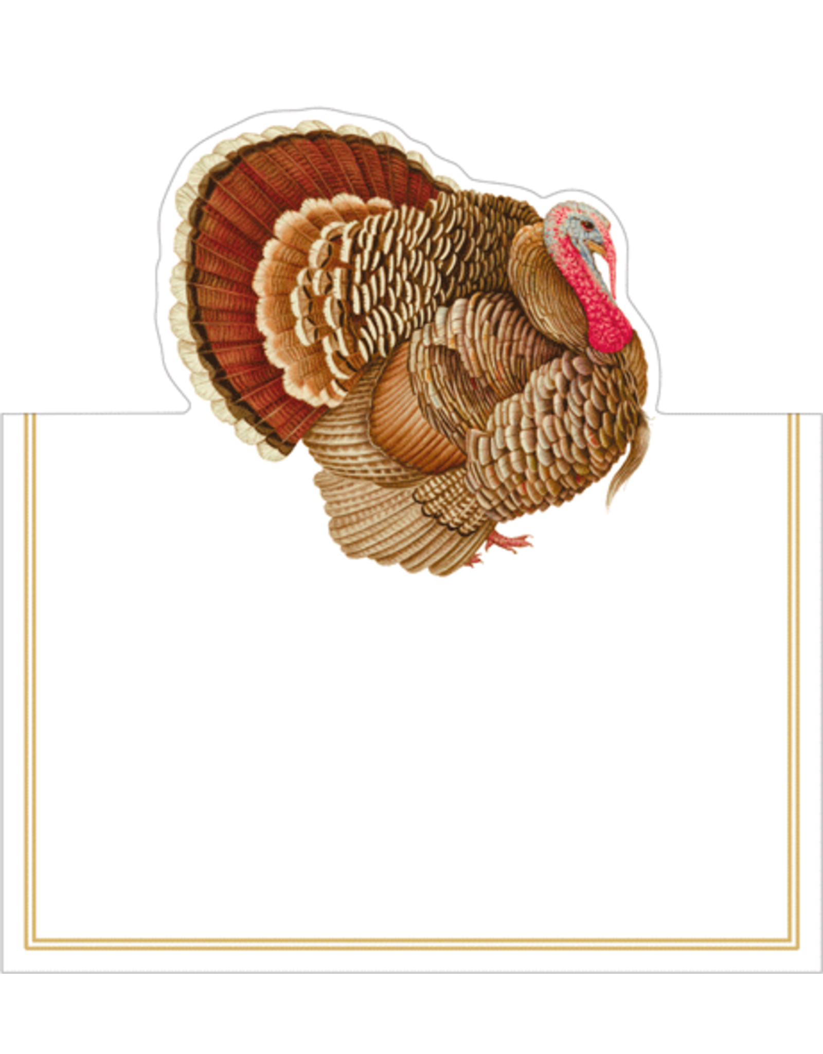 Caspari Thanksgiving Dinner Table Place Cards Tent Style 8pk Turkey