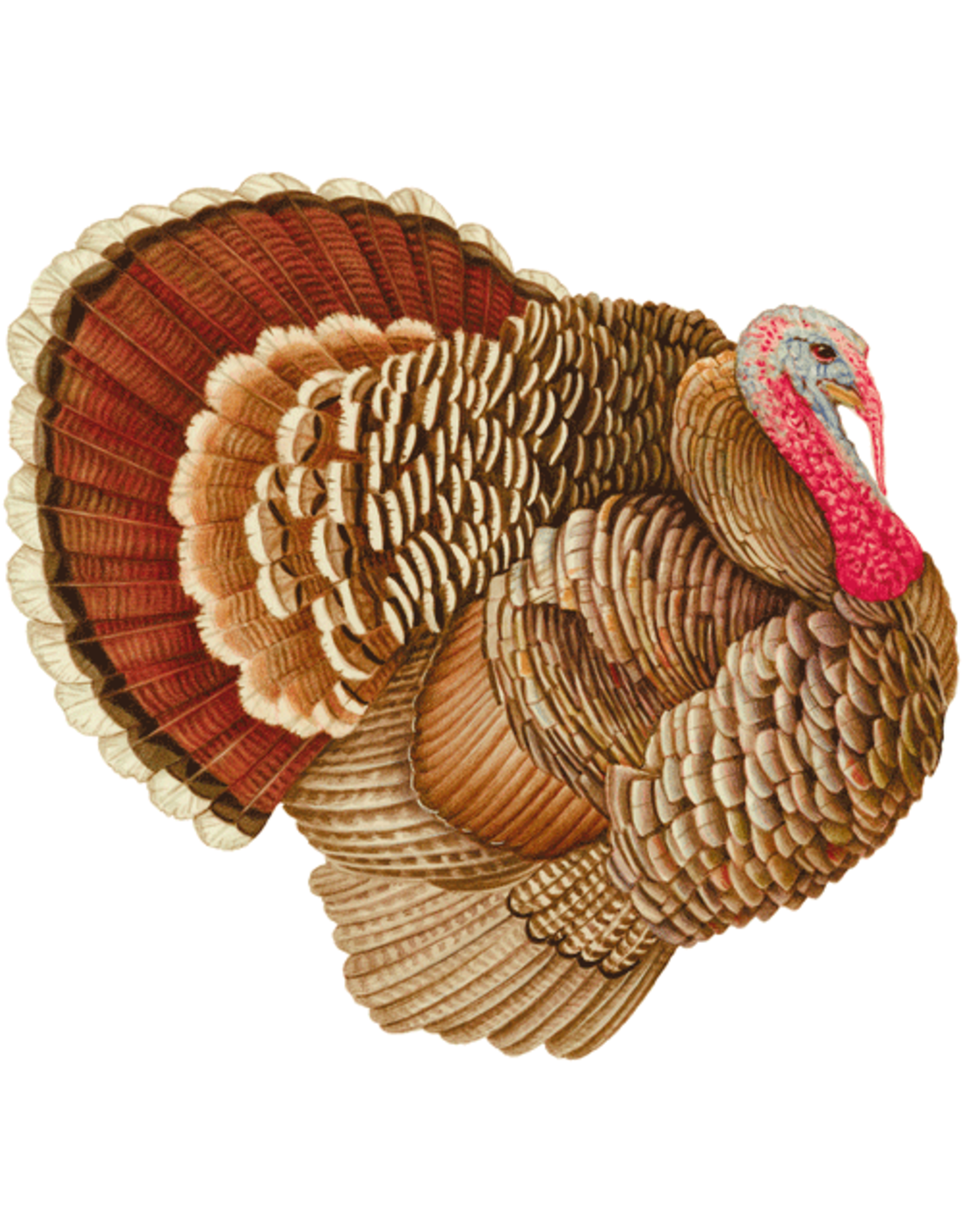 Caspari Thanksgiving Paper Placemats 12pk Turkey Die-Cut