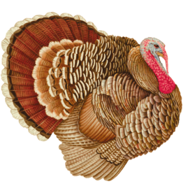 Caspari Thanksgiving Paper Placemats 12pk Turkey Die-Cut