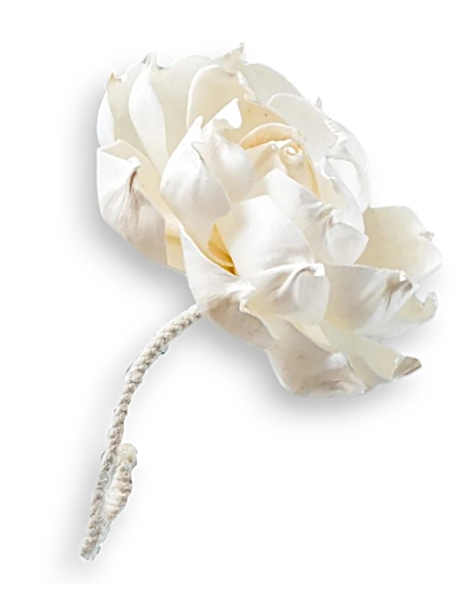 B's Knees Diffuser Flowers | Large Blossom Diffuser Flower 1ct