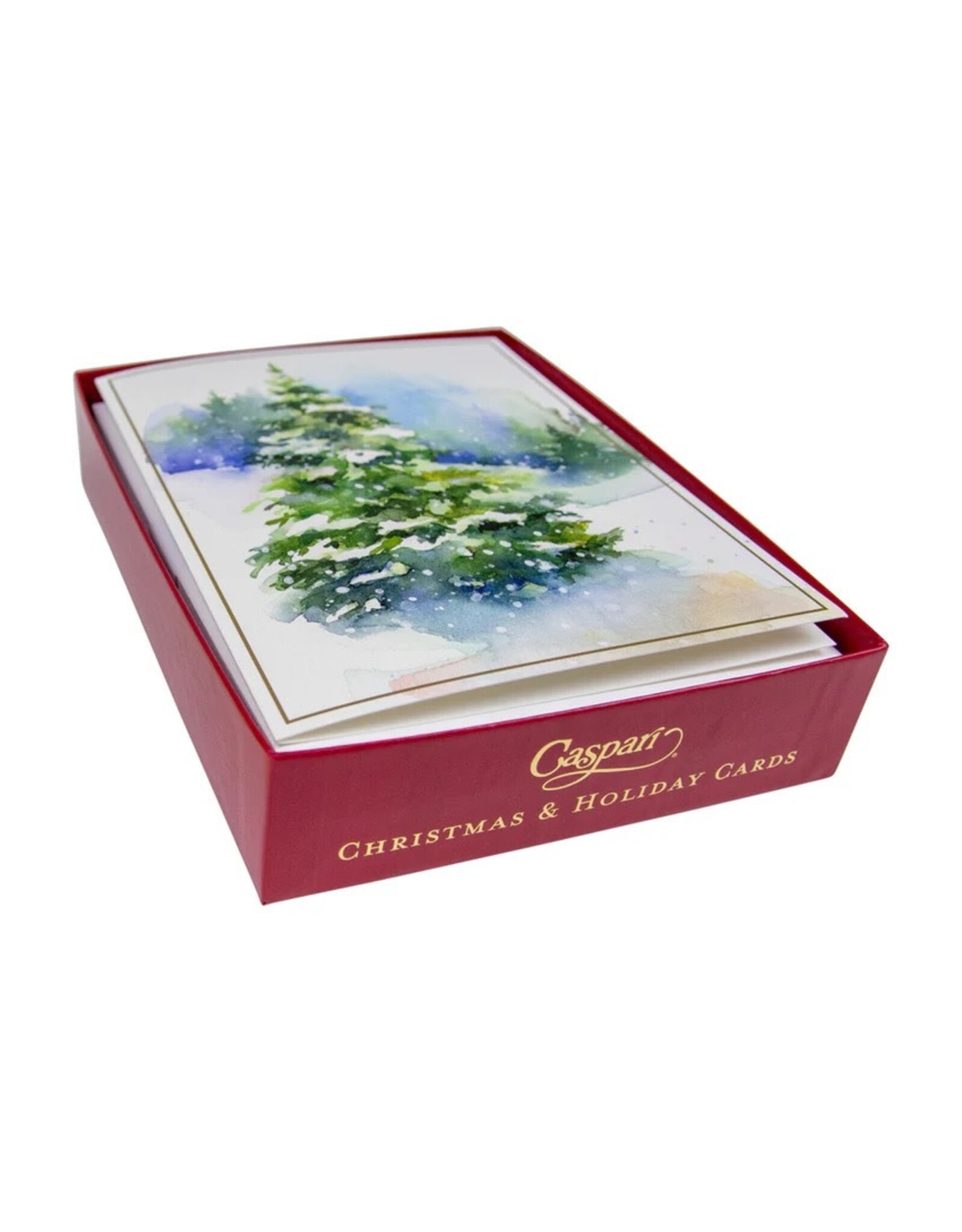 Caspari Boxed Christmas Cards 15pk Evergreens In Snowy Field
