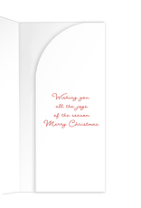 Caspari Christmas Money Holder Card 1ct Berries And Pine Money Card