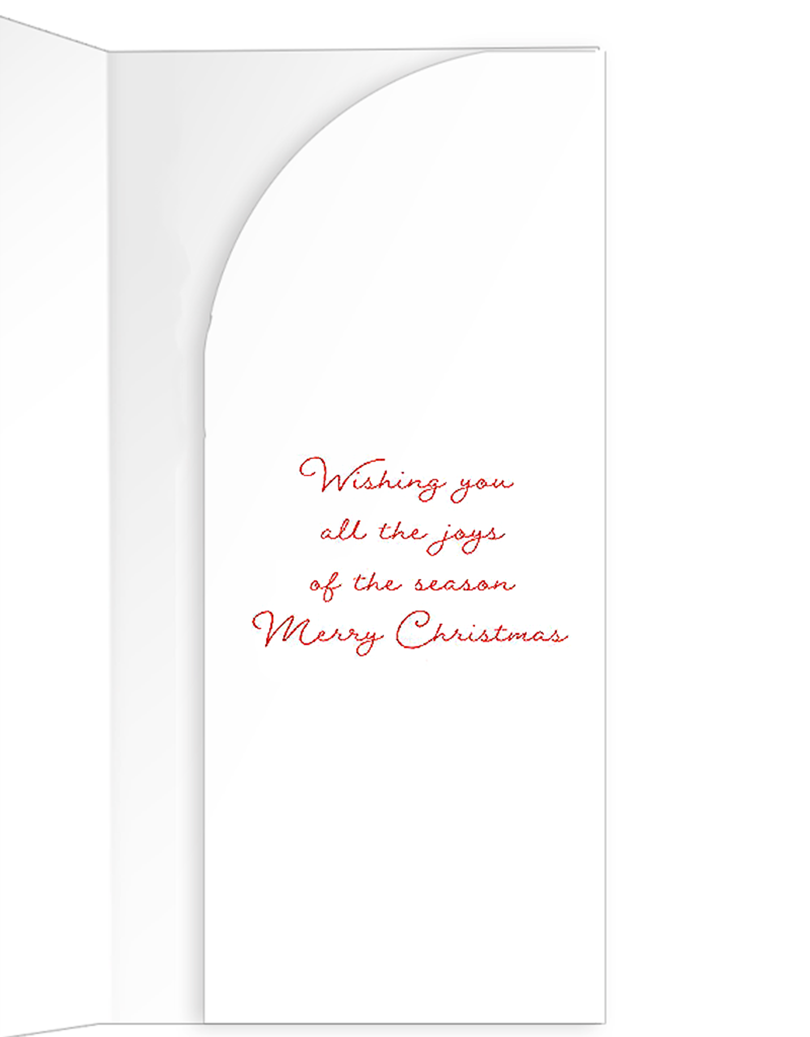 Caspari Christmas Money Holder Card 1ct Berries And Pine Money Card