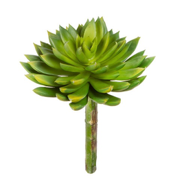 Darice Succulent 5.5Dx3x9h