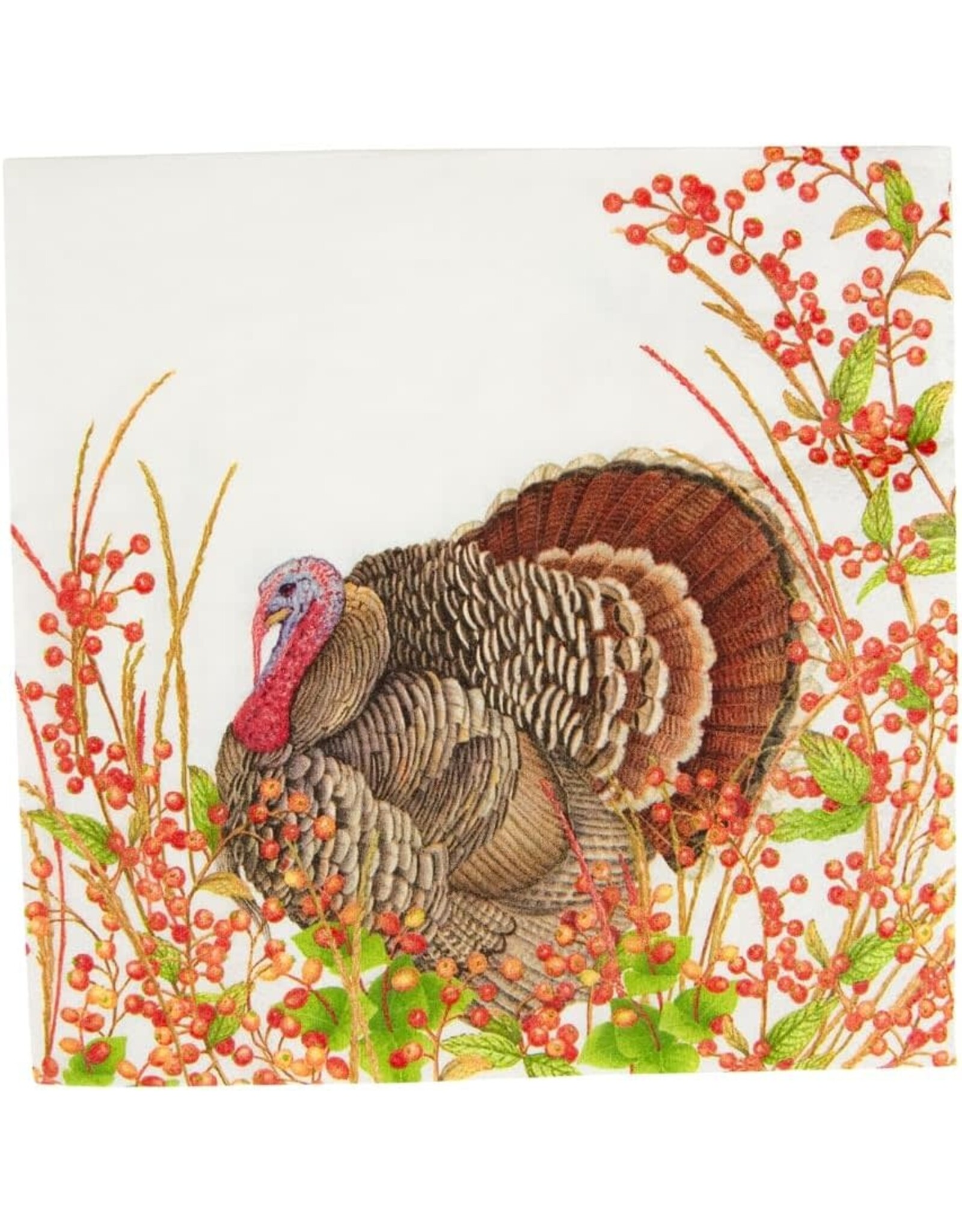 Caspari Thanksgiving Paper Luncheon Napkins 20pk Turkeys n Berries