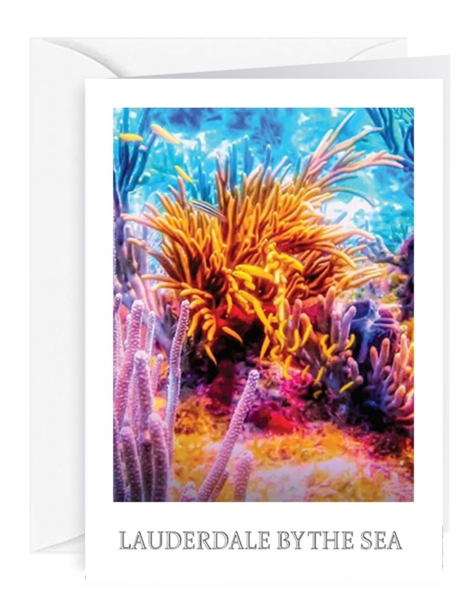 Charles W Blank Note Gift Card Holder Lauderdale-By-The-Sea Reef III