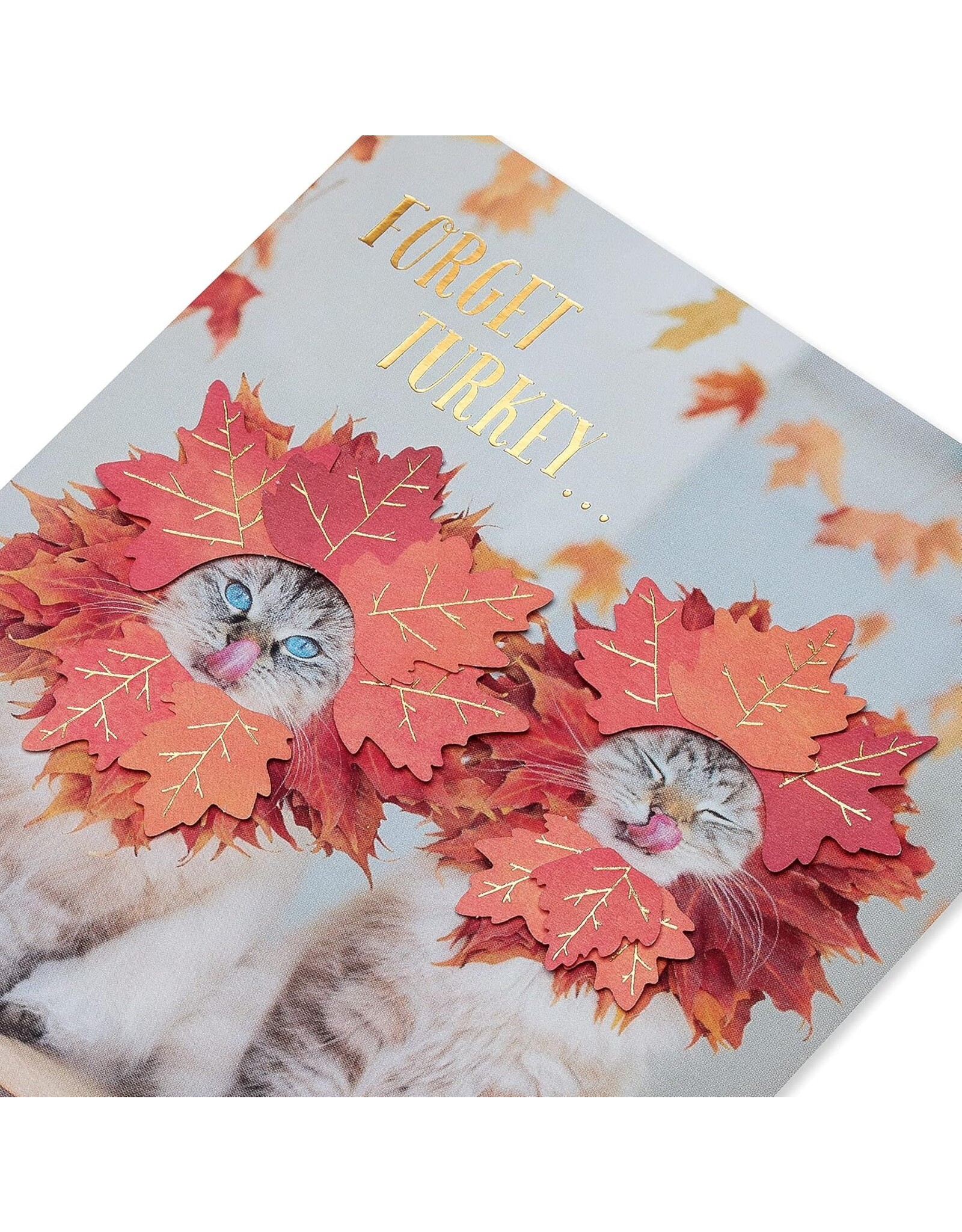 PAPYRUS® Thanksgiving Cards Couple of Hams Cats W Fall Leaves