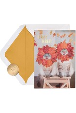 PAPYRUS® Thanksgiving Cards Couple of Hams Cats W Fall Leaves