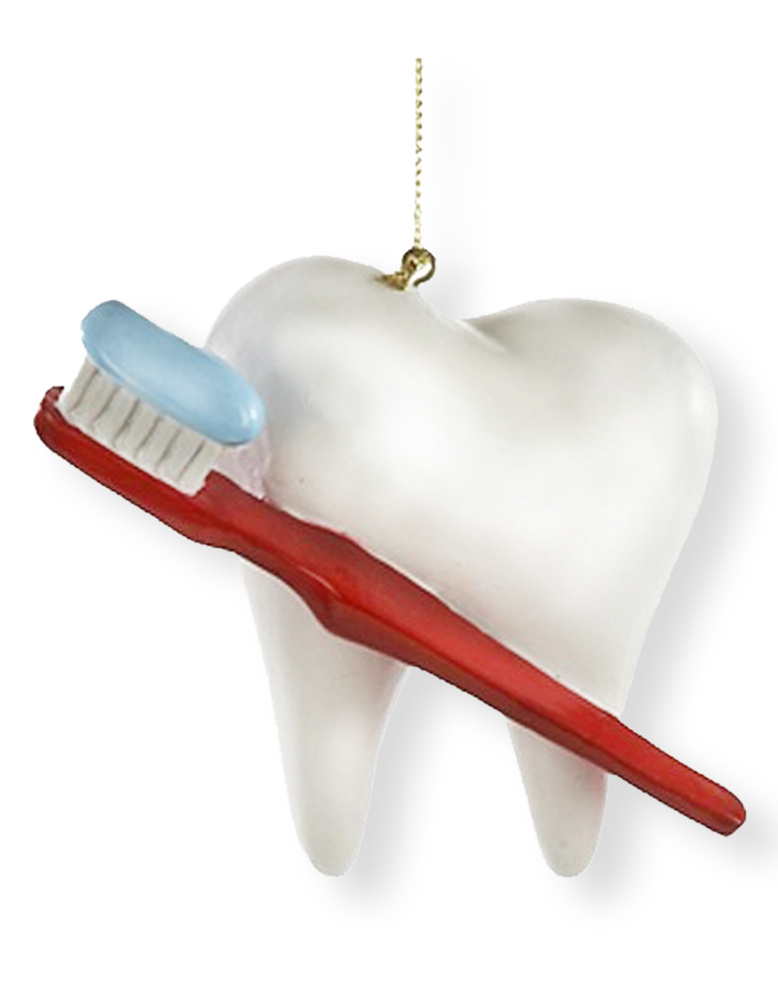 DIGS-N-GIFTS Dentist Christmas Ornaments Tooth w Red Toothbrush Ornament