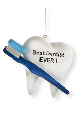 DIGS-N-GIFTS Dentist Ornaments Tooth w Toothbrush Best Dentist Ever
