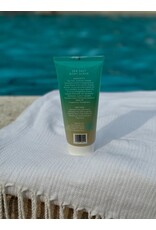 True Ocean Salt Scrub 6 Oz. Exfoliator | Coastal Fragrance