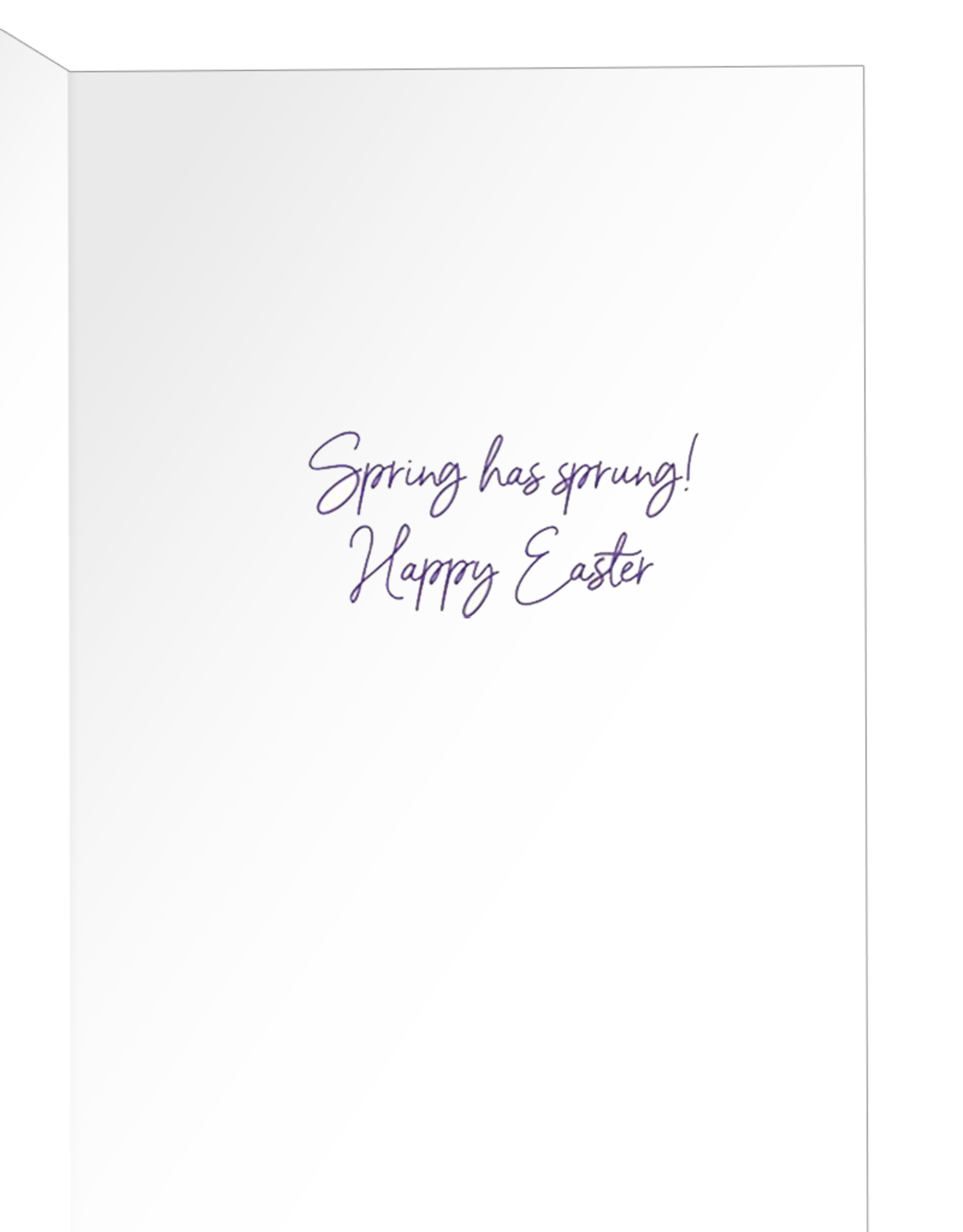 Caspari Easter Cards Bunny Field Single Greeting Card