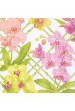 Caspari Paper Cocktail Napkins 20pk Orchid Conservatory