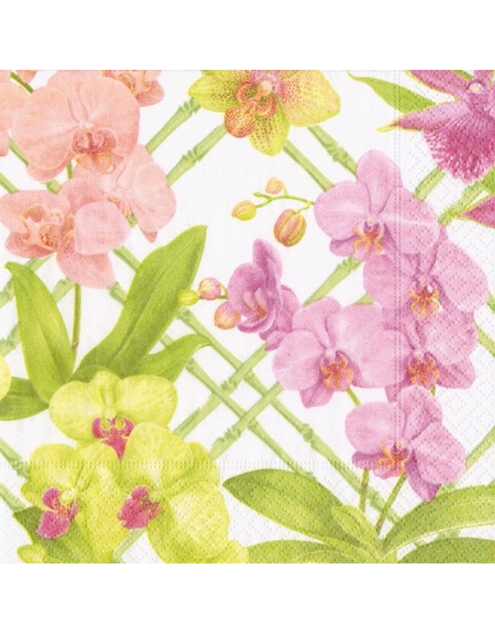 Caspari Paper Cocktail Napkins 20pk Orchid Conservatory