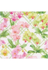 Caspari Gift Wrapping Paper 5ft Roll Orchid Conservatory