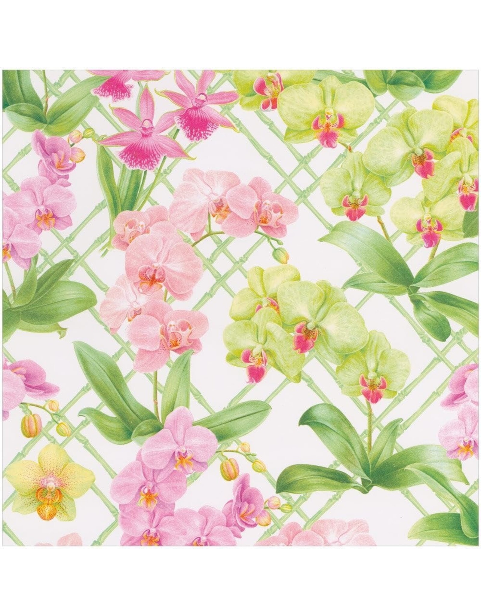 Caspari Gift Wrapping Paper 5ft Roll Orchid Conservatory
