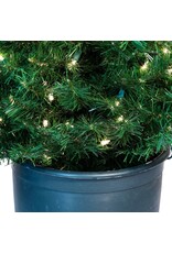 Kurt Adler 5 FT Potted Porch Christmas Trees Set Pre-Lit WW lights