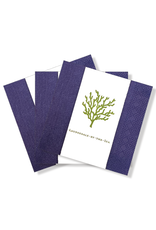 Caspari Lauderdale-By-The-Sea Cocktail Napkins 24pk Coral Reef DB