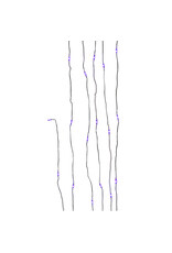 Kurt Adler Halloween LED Fairy Lights 10FT 25 Lite Purple B/O