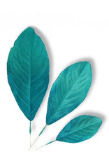 Premier Glittered Edge Aqua Teal Blue Leaf 3 Sizes Set of 9