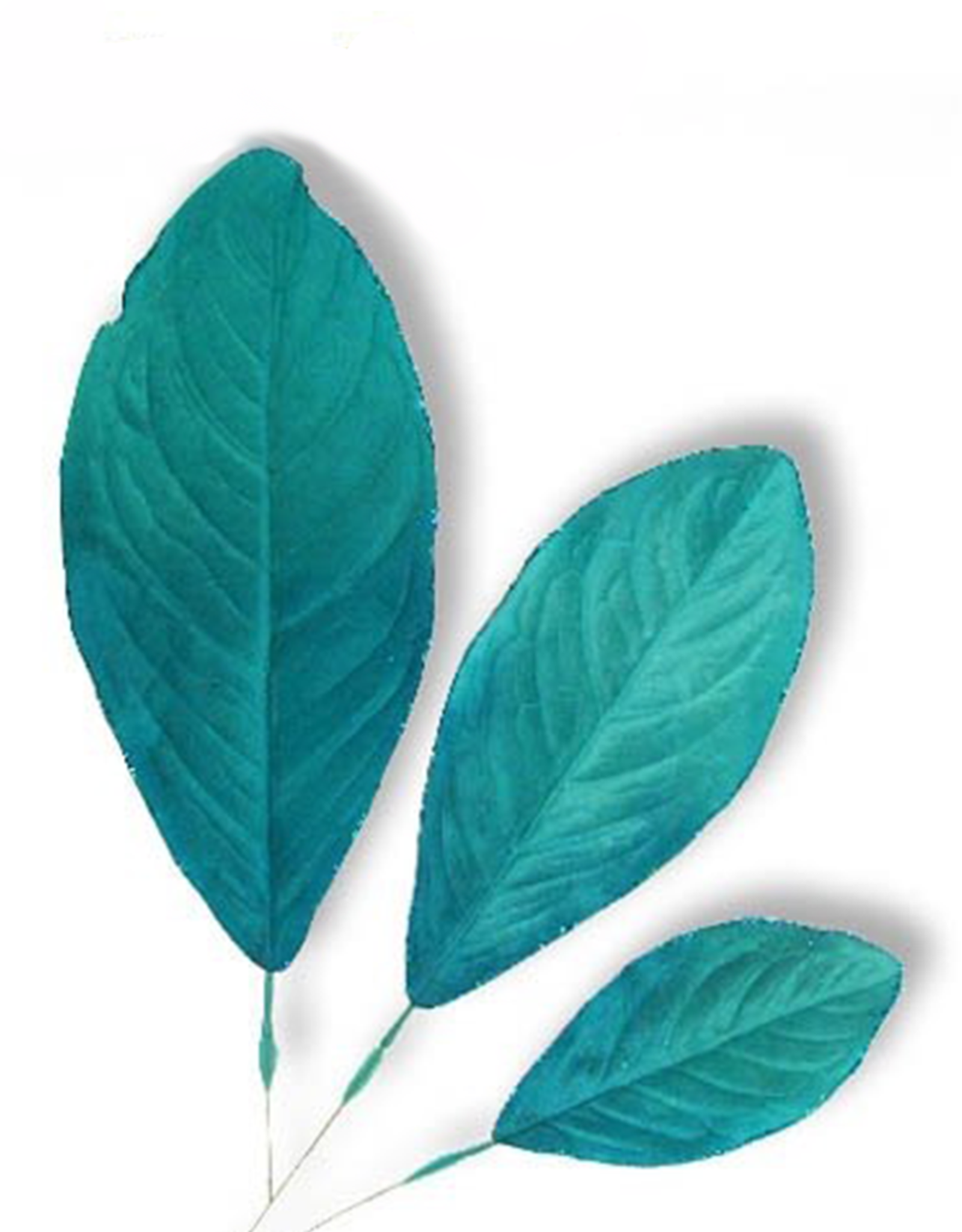 Premier Glittered Edge Aqua Teal Blue Leaf 3 Sizes Set of 9