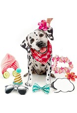FreshCut Paper Pop Up Pet Cards | Dalmatian Pop-Up Card