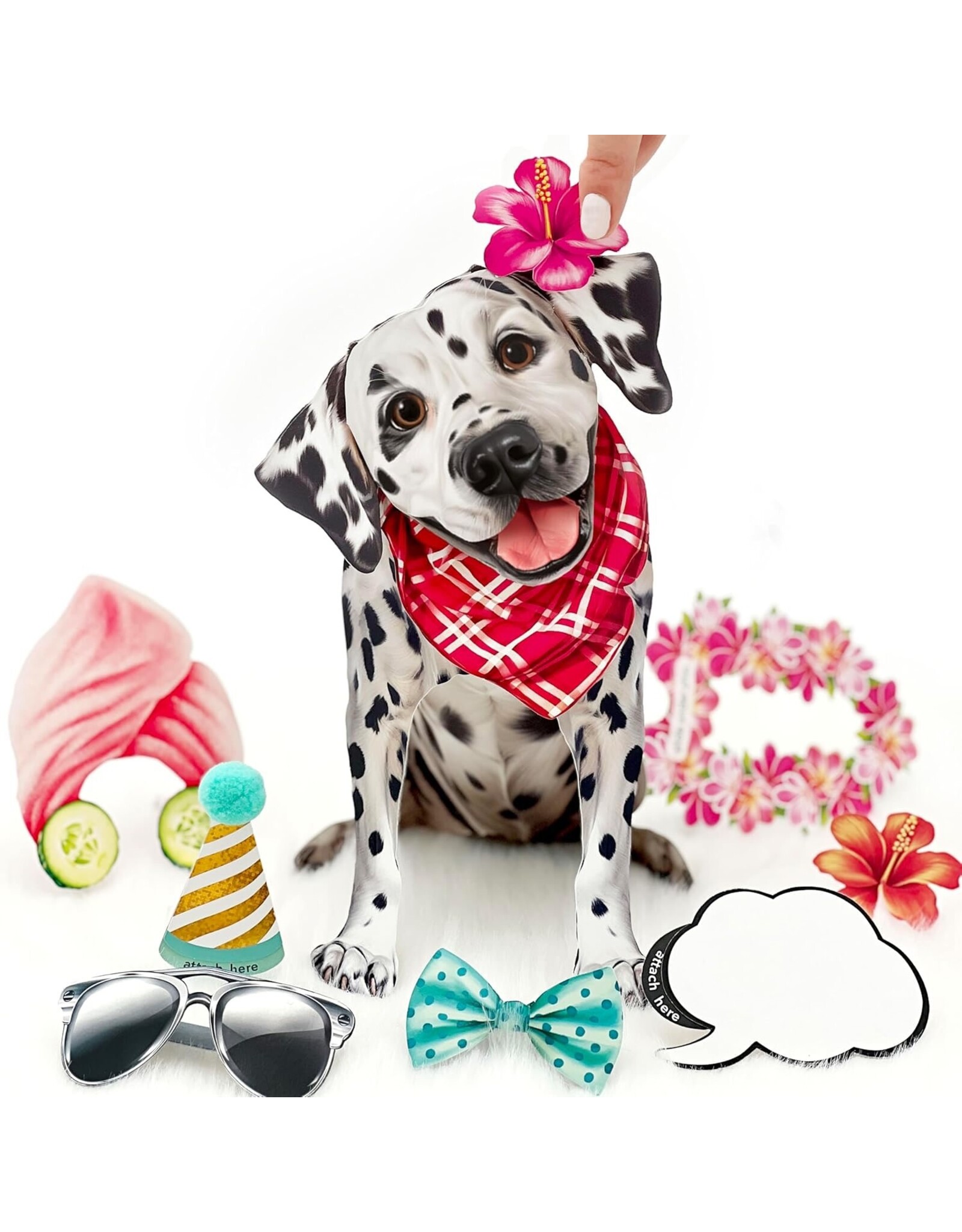 FreshCut Paper Pop Up Pet Cards | Dalmatian Pop-Up Card