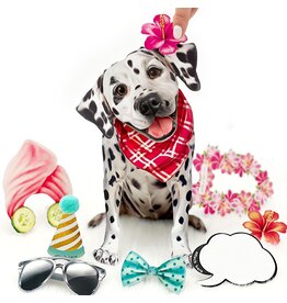 FreshCut Paper Pop Up Pet Cards | Dalmatian Pop-Up Card