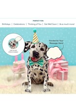FreshCut Paper Pop Up Pet Cards | Dalmatian Pop-Up Card