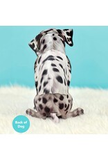 FreshCut Paper Pop Up Pet Cards | Dalmatian Pop-Up Card