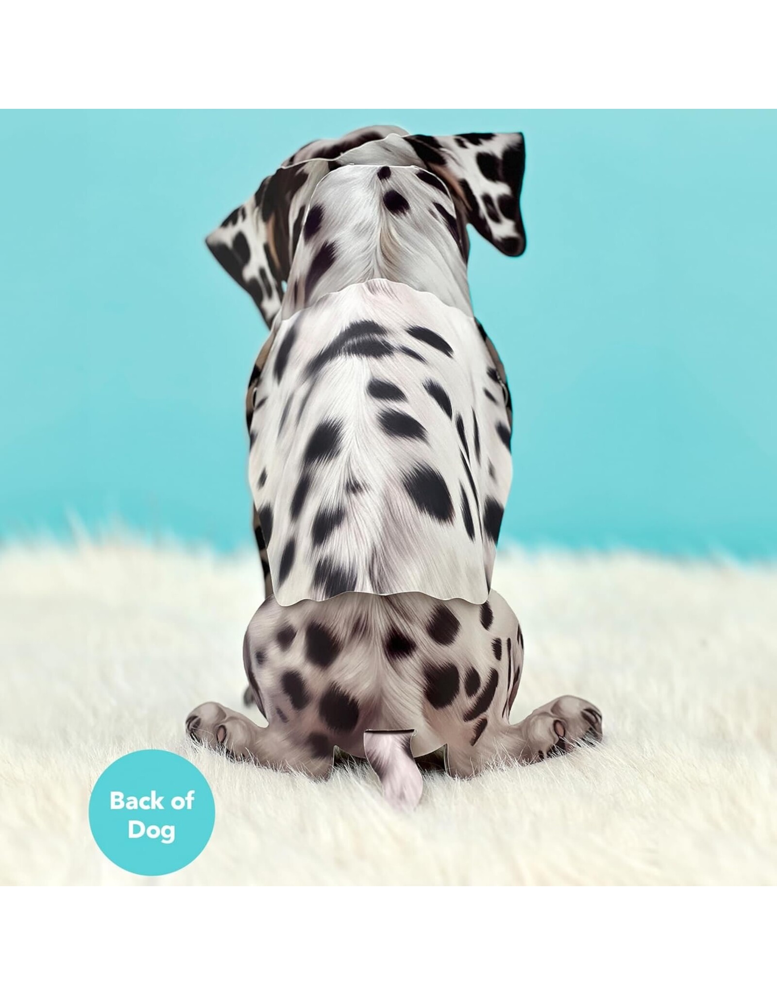 FreshCut Paper Pop Up Pet Cards | Dalmatian Pop-Up Card