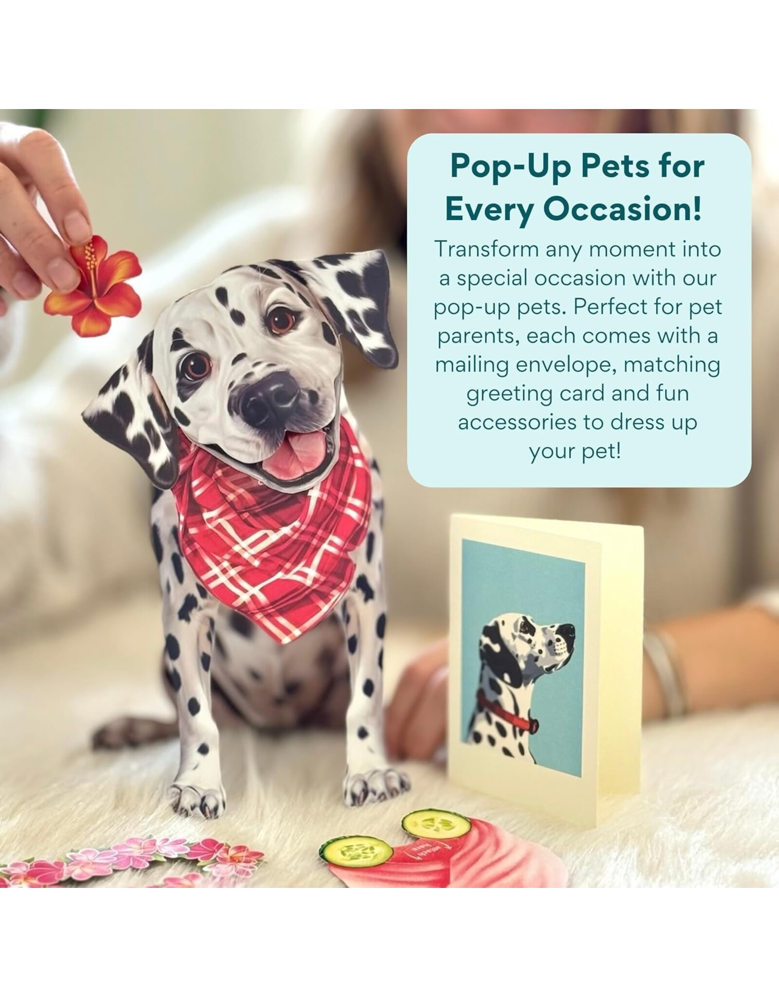 FreshCut Paper Pop Up Pet Cards | Dalmatian Pop-Up Card