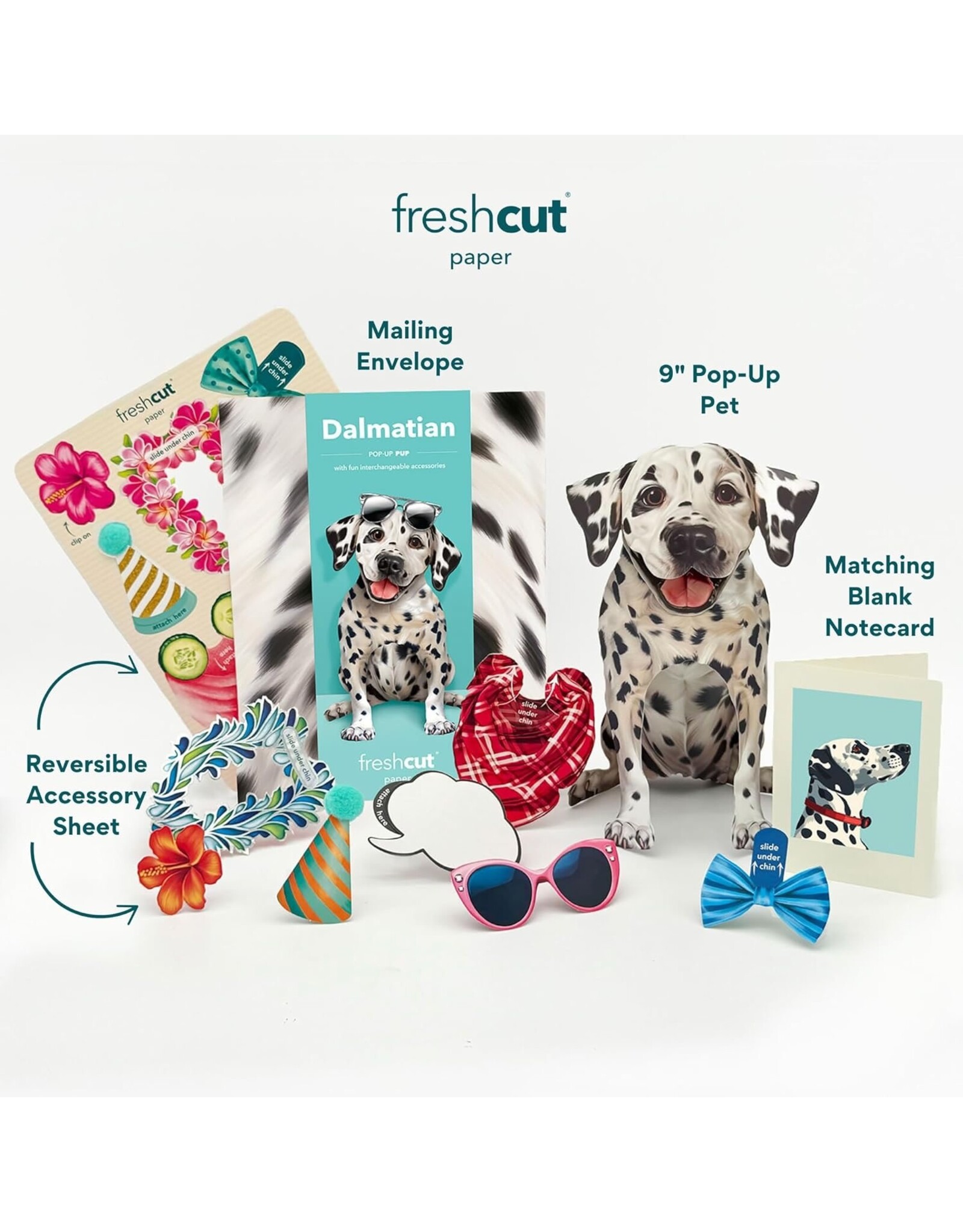 FreshCut Paper Pop Up Pet Cards | Dalmatian Pop-Up Card