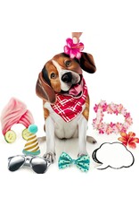 FreshCut Paper Pop Up Pet Cards | Beagle Pop-Up Card