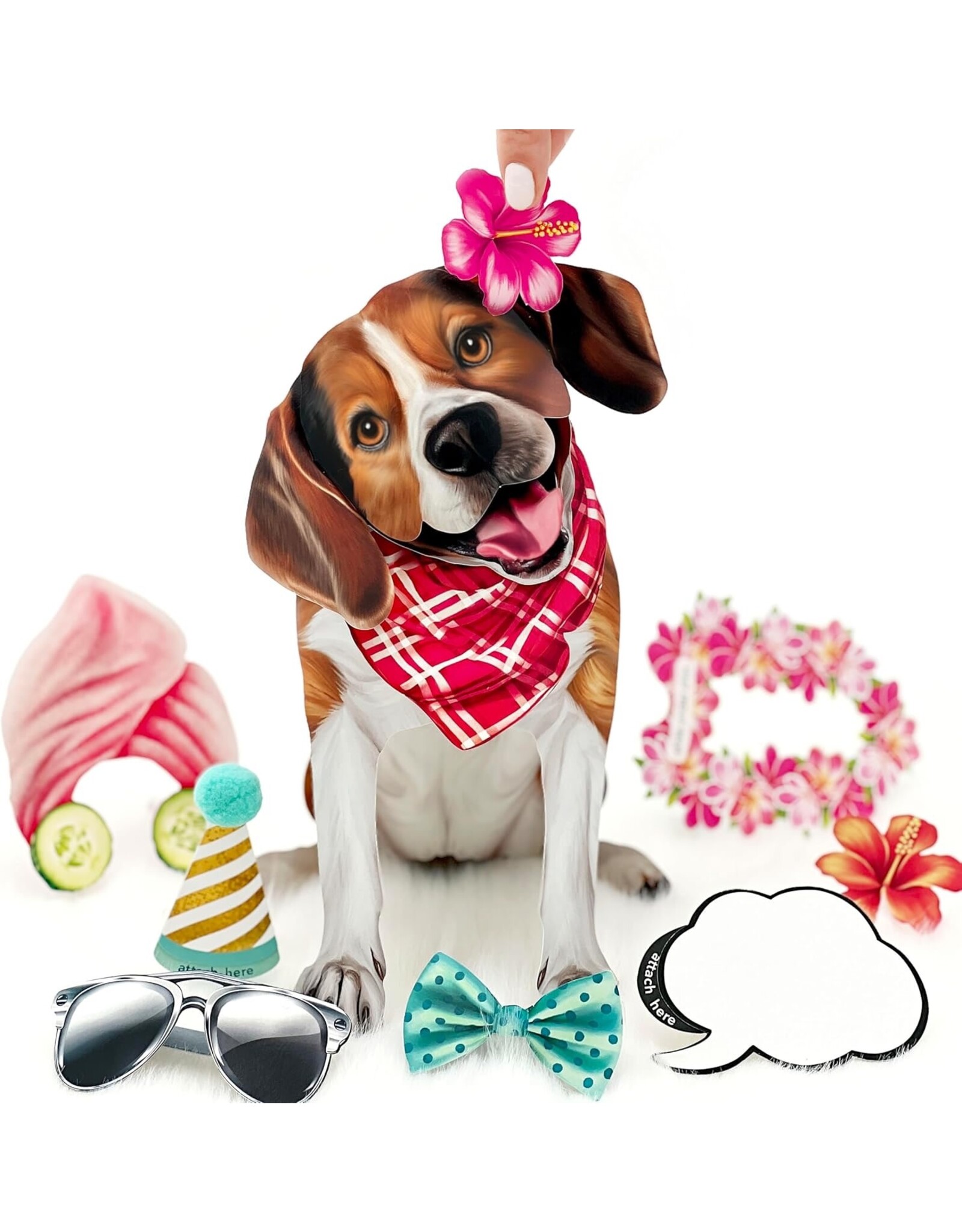 FreshCut Paper Pop Up Pet Cards | Beagle Pop-Up Card