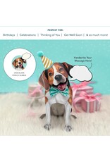 FreshCut Paper Pop Up Pet Cards | Beagle Pop-Up Card