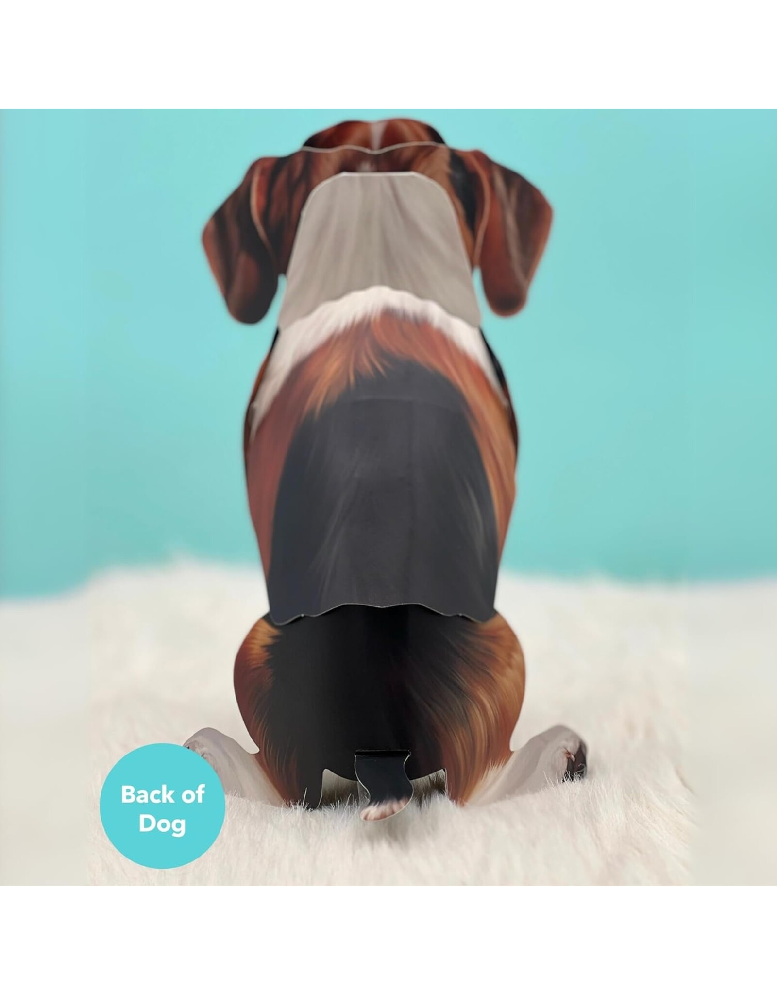 FreshCut Paper Pop Up Pet Cards | Beagle Pop-Up Card