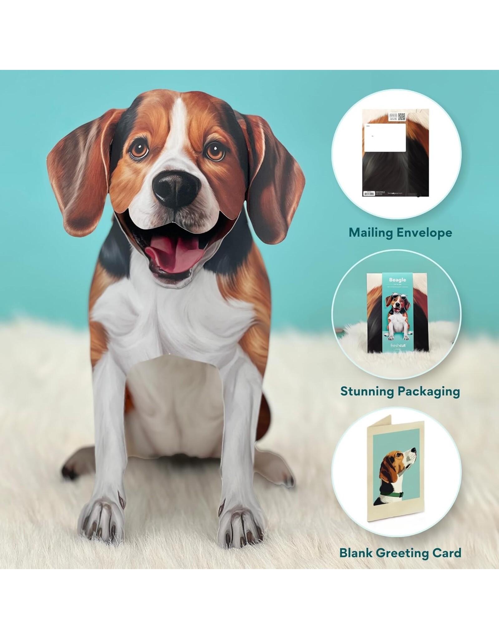 FreshCut Paper Pop Up Pet Cards | Beagle Pop-Up Card
