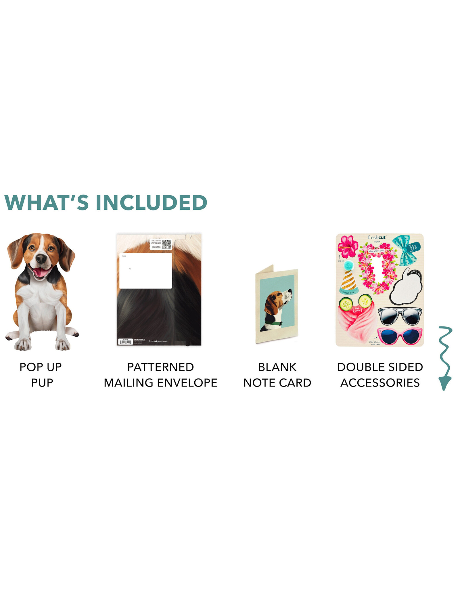 FreshCut Paper Pop Up Pet Cards | Beagle Pop-Up Card